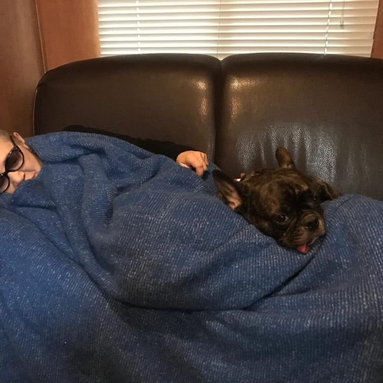 Carrie Fisher et son chien Gary