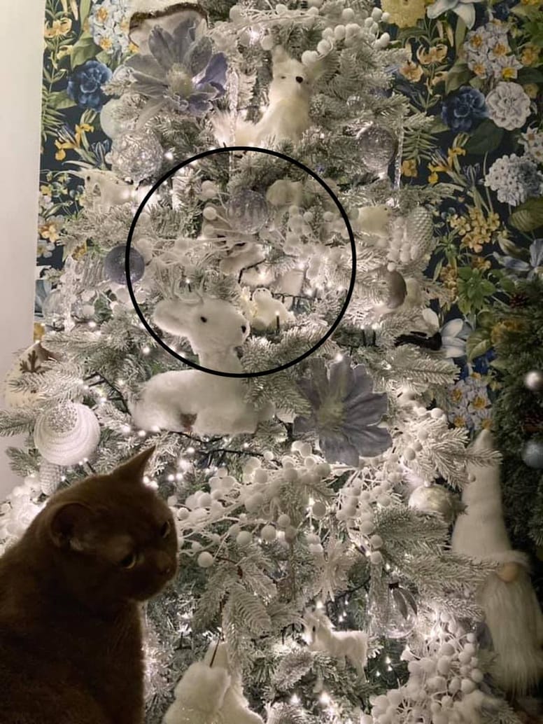 gato escondido arbol de navidad solucion