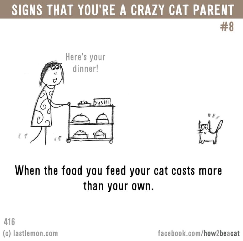 15 illustrations délirantes qui prouvent à quel point vous êtes gaga de votre chat !