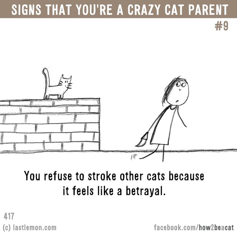 15 illustrations délirantes qui prouvent à quel point vous êtes gaga de votre chat !