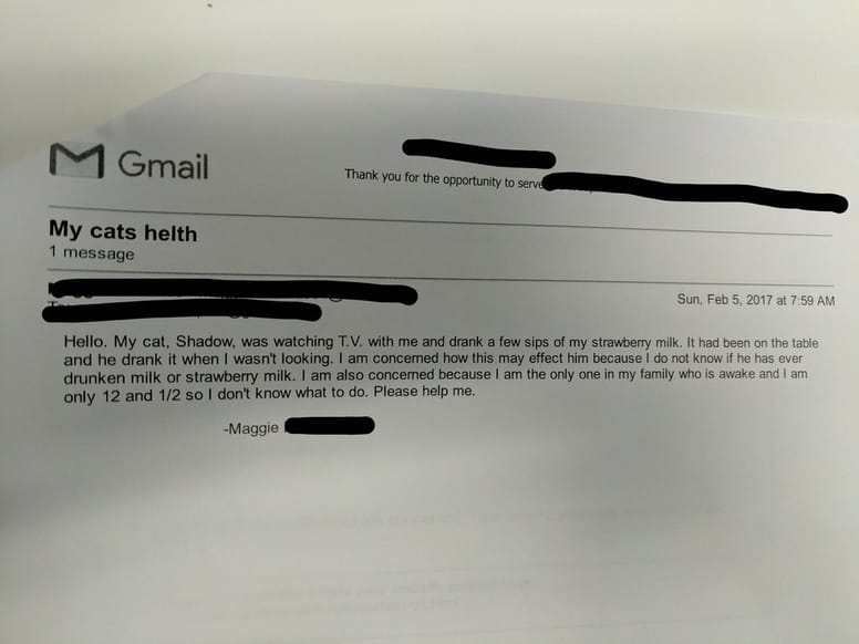 lettre à un vétérinaire pour un chat qui a bu du lait