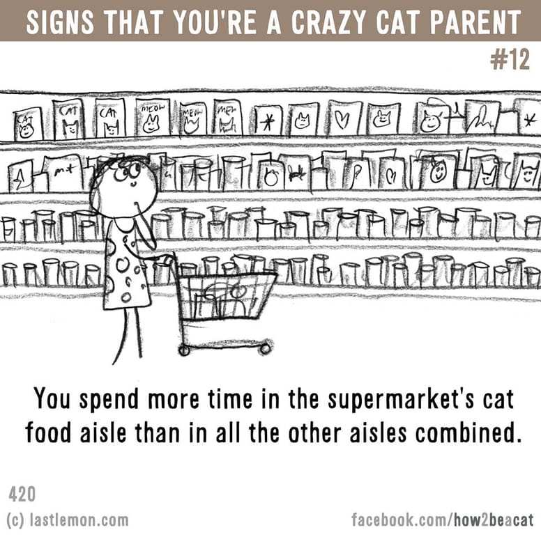 15 illustrations délirantes qui prouvent à quel point vous êtes gaga de votre chat !