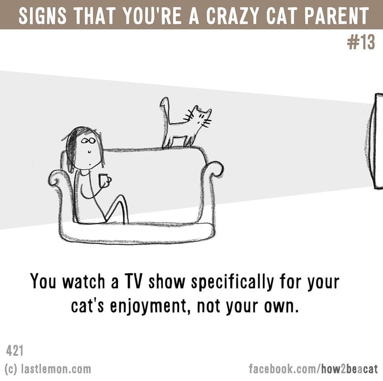 15 illustrations délirantes qui prouvent à quel point vous êtes gaga de votre chat !