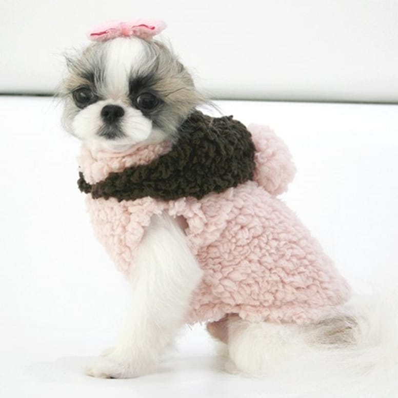 manteau pour chien sans manches