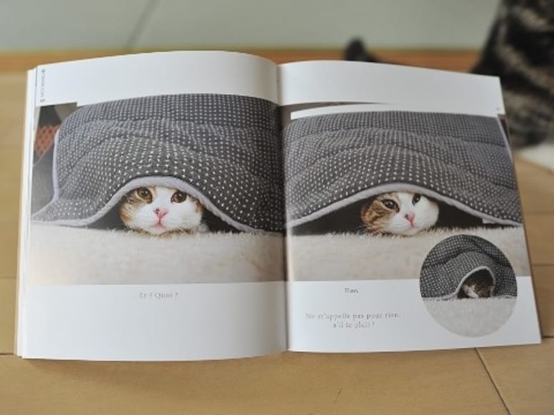 maru chat star du web livre