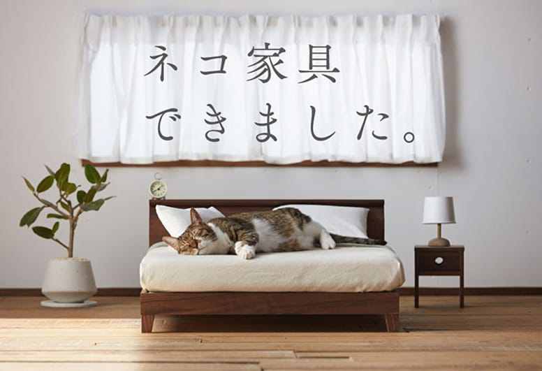 okawa kagu lit chat