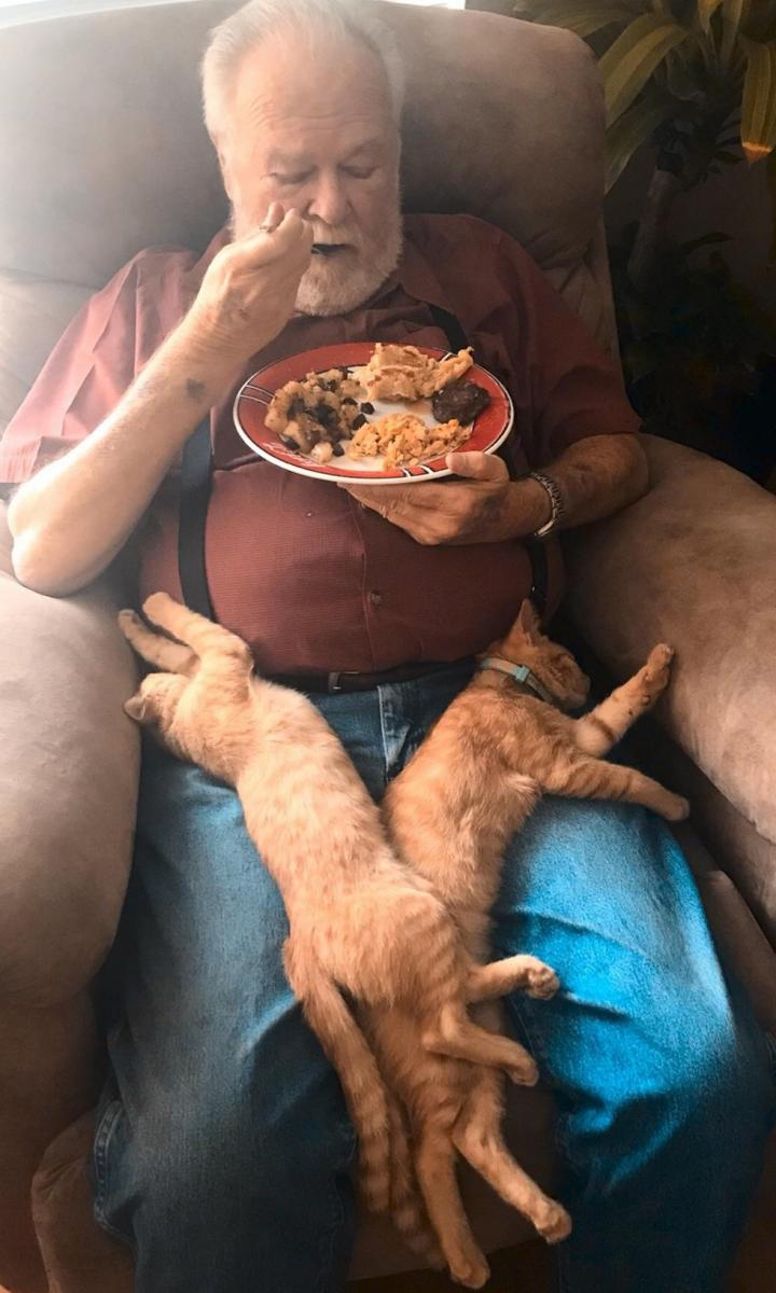 grand-père chatons