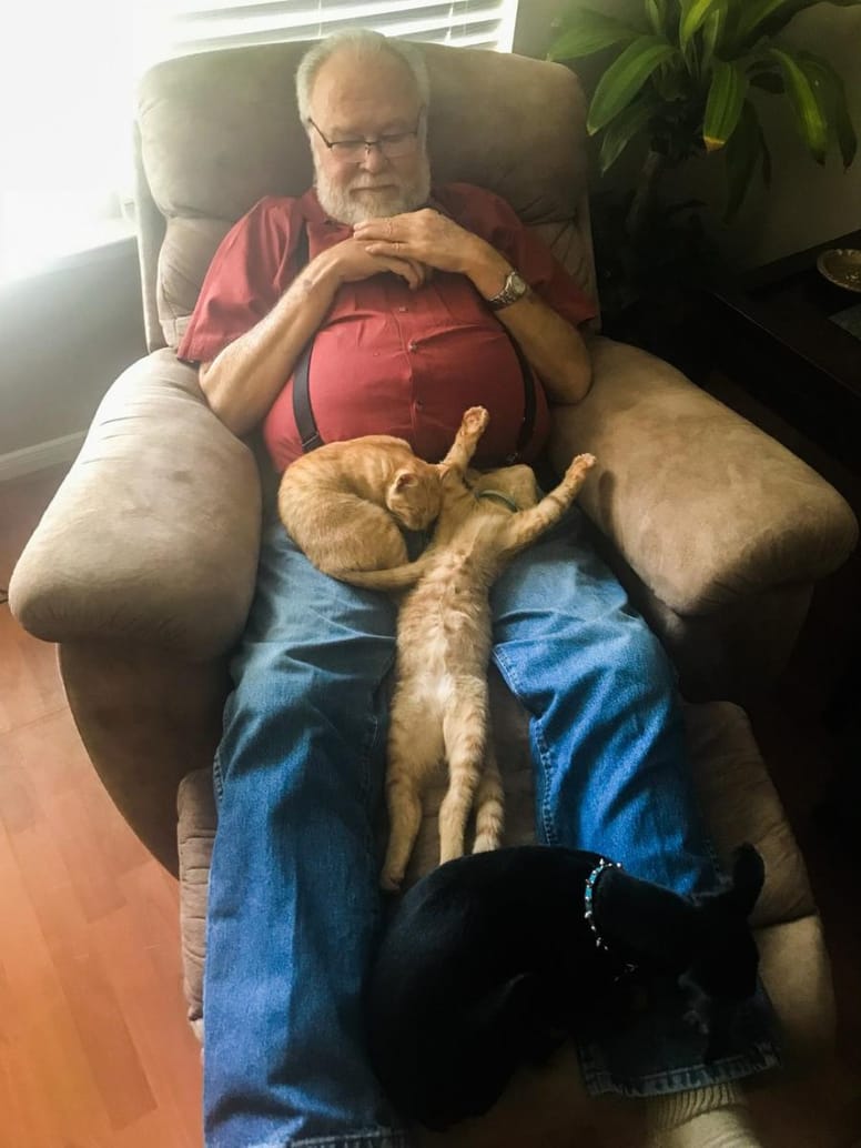 grand-père chatons