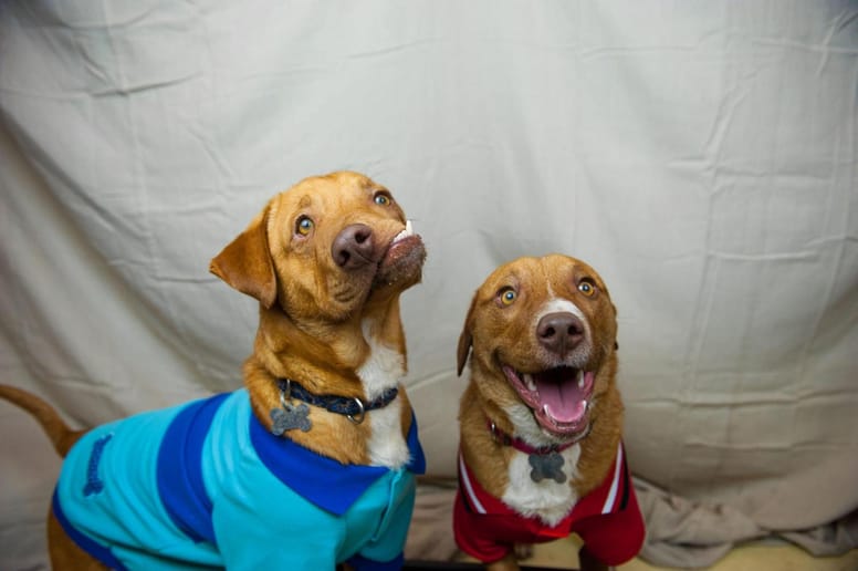 Pablo et Picasso
