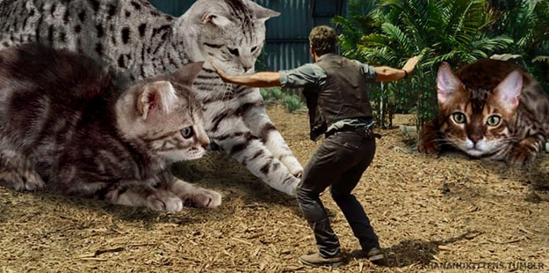 purrassic park