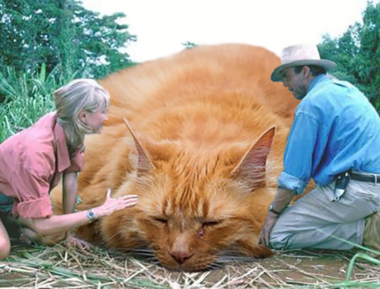 purrassic park