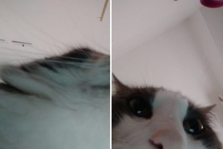 chat selfie