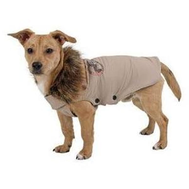 Manteau pour chien