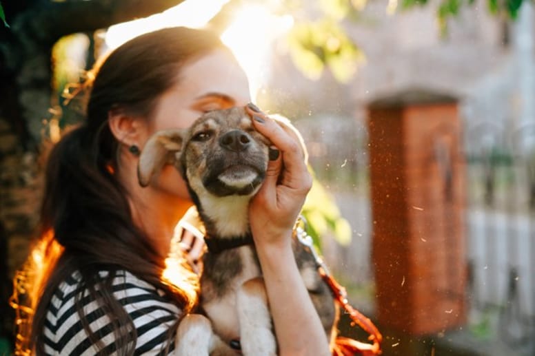 chien adopté
