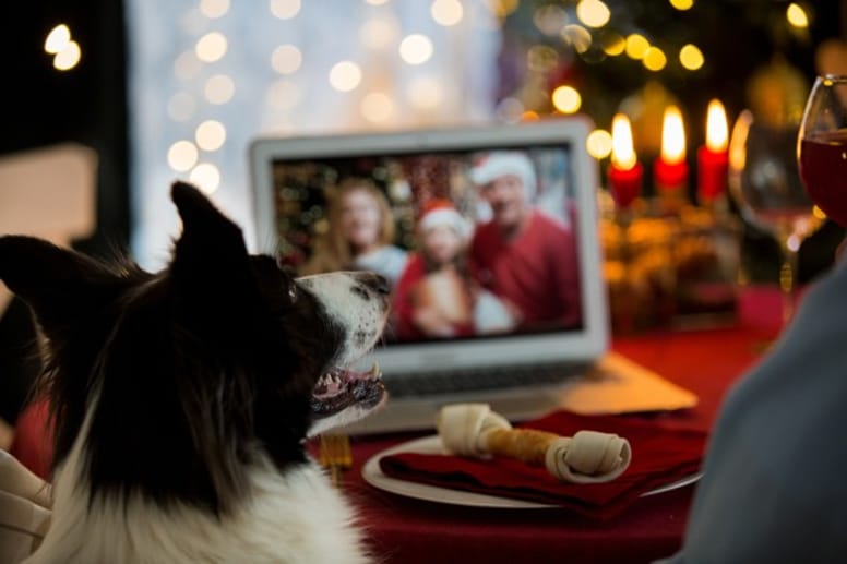 chien qui fête Noël avec son maître