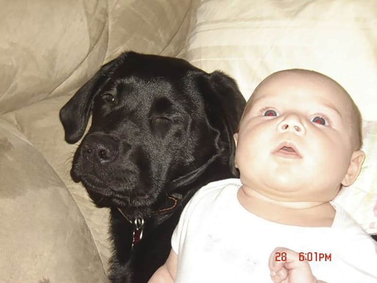 chien ami bébé