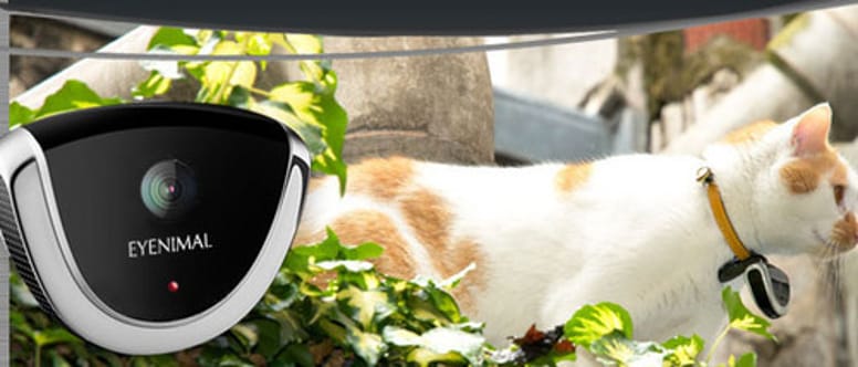 Eyenimal camera pour chat