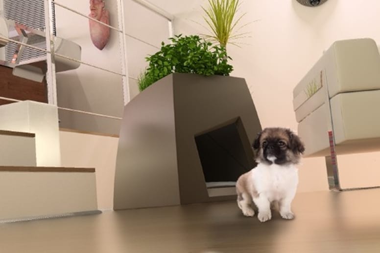 niche pour chien moderne