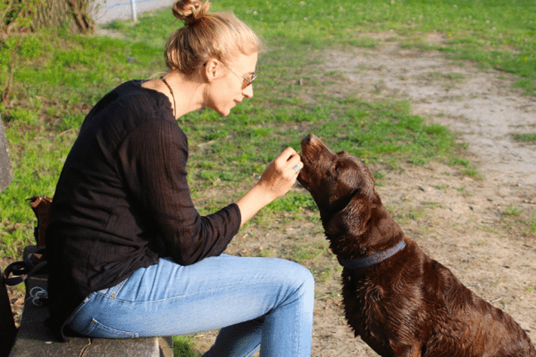 Giving a dog treat