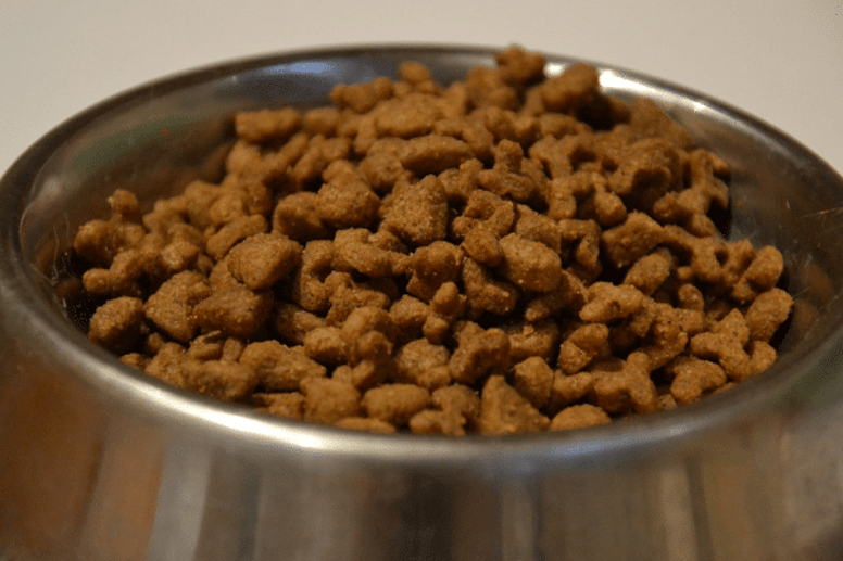 dog kibble