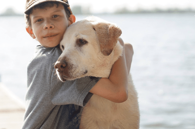 Labrador and boy