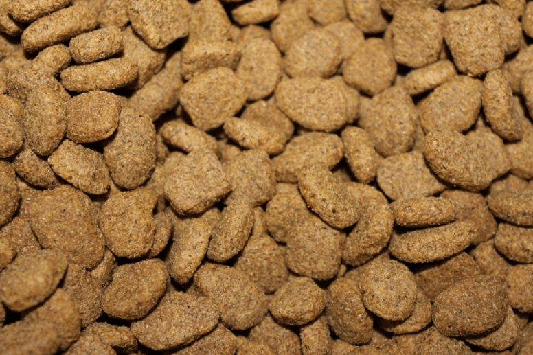 kibble dry feed