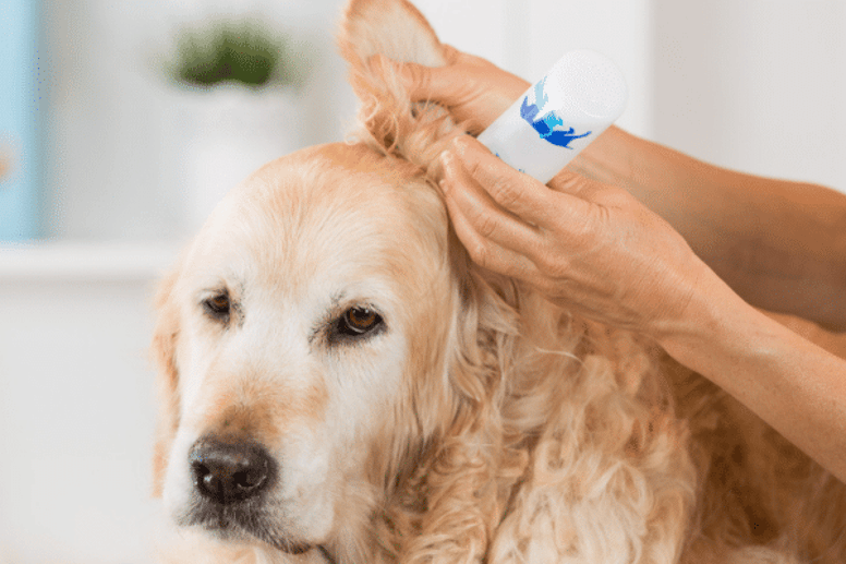 ear wash for dogs