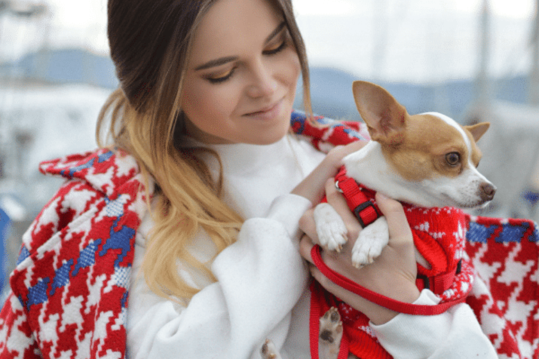 walking your puppy with a collar and a leash