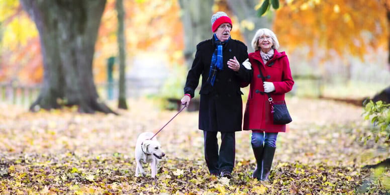Gassi gehen mit dem Hund Wie oft, wie lange, warum und womit?