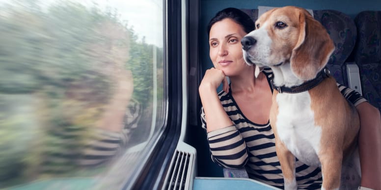 Deutsche Bahn: Hund im Zug mitnehmen