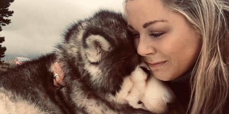 Beloved Malamute given the perfect final day before saying goodbye forever