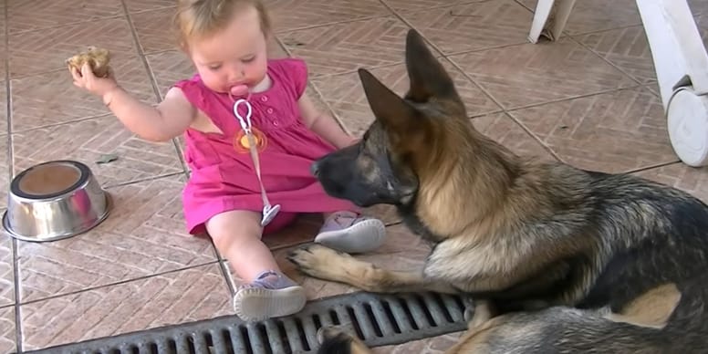 Deutscher Schäferhund Tasse Kaffeetasse für Hundebesitzer