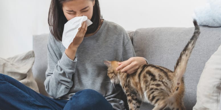 Cat allergies causes and treatment