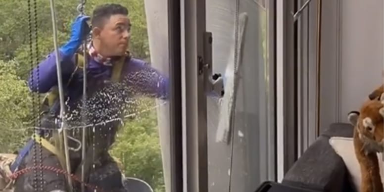 Window cleaner left in stitches at adorable scene on other side of the