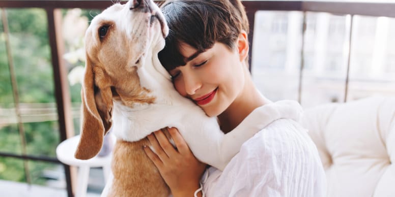 Can I borrow a dog for a day? Now you can with BorrowMyDoggy