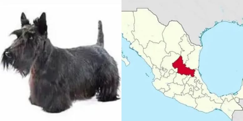 San Luis Potosi Tiene Forma De Perro