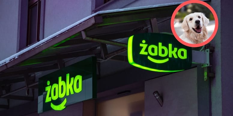 Czy do Żabki można wejść z psem? Sprawdzamy!