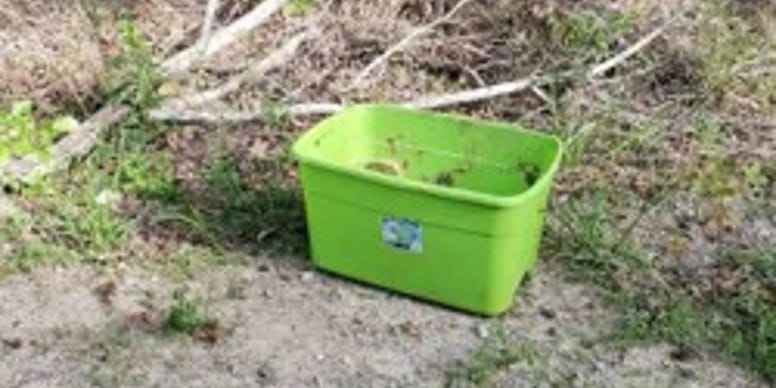 Il voit une boite en plastique abandonnée et assiste à une scène d’une ...