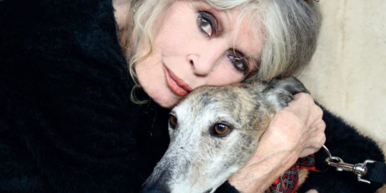 Brigitte Bardot, screen legend and animal advocate, dies at 91