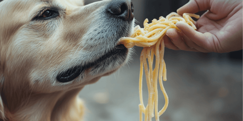 can dogs eat plain spaghetti