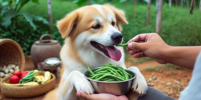 Can dogs eat raw green beans?