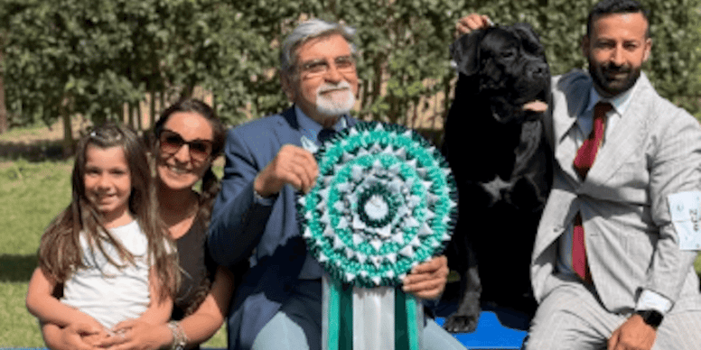 Mamba conquista la Sicilia: il Cane Corso di 2 anni che ha stregato i giudici internazionali