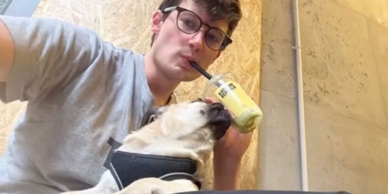 Il part à l’étranger avec son chiot : ils restent bloqués au Caire pour une raison étonnante