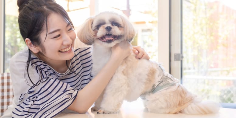 Chińskie rasy psów: wykaz ras, zdjęcia, charakterystyka