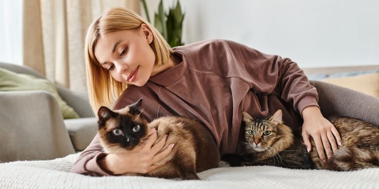 Est-ce une bonne idée d’avoir un deuxième chat à la maison