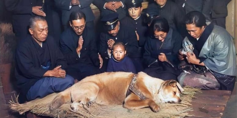 Hachiko, der Hund Rasse, Film, Statue in Japan