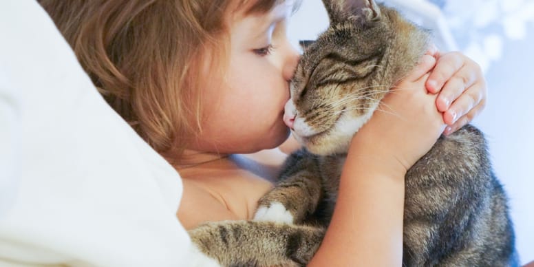 I gatti capiscono quando li baci?