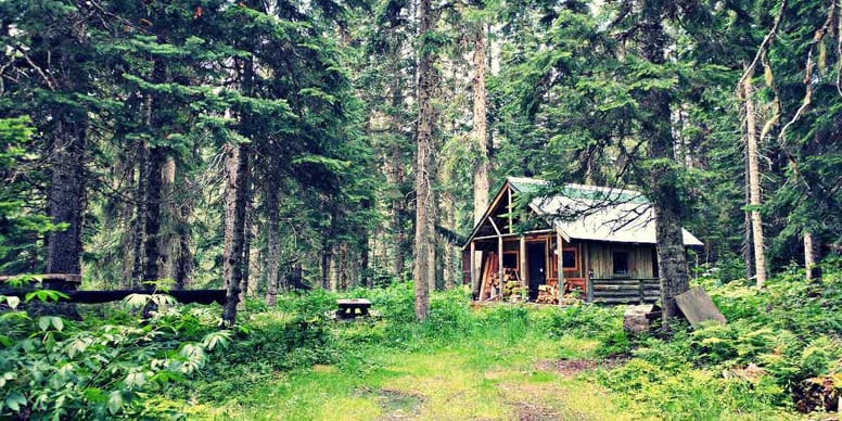 Wanderer kommen an eine Waldhütte, hören komische Geräusche und rufen sofort um Hilfe