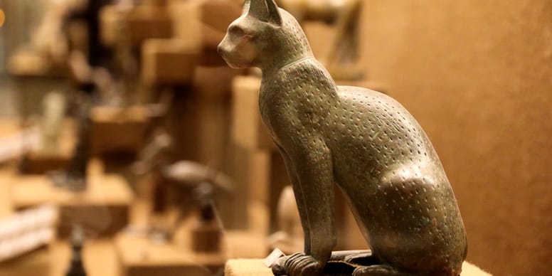 Die Katze im Alten Ägypten: Geliebt und verehrt
