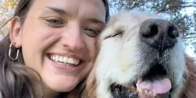 His old legs are too tired for walkies, but his owner's clever idea means he never misses out